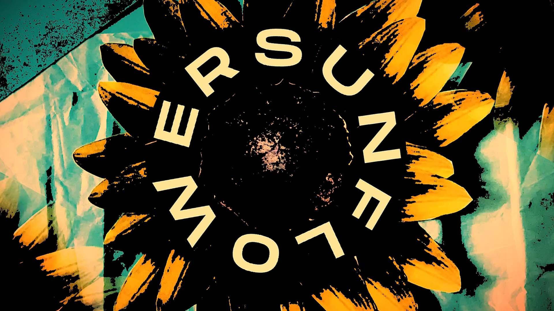 Sunflower Motion, Record Cover, Merchandise